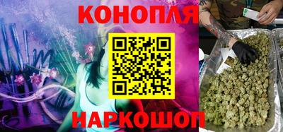 гашик Гудермес